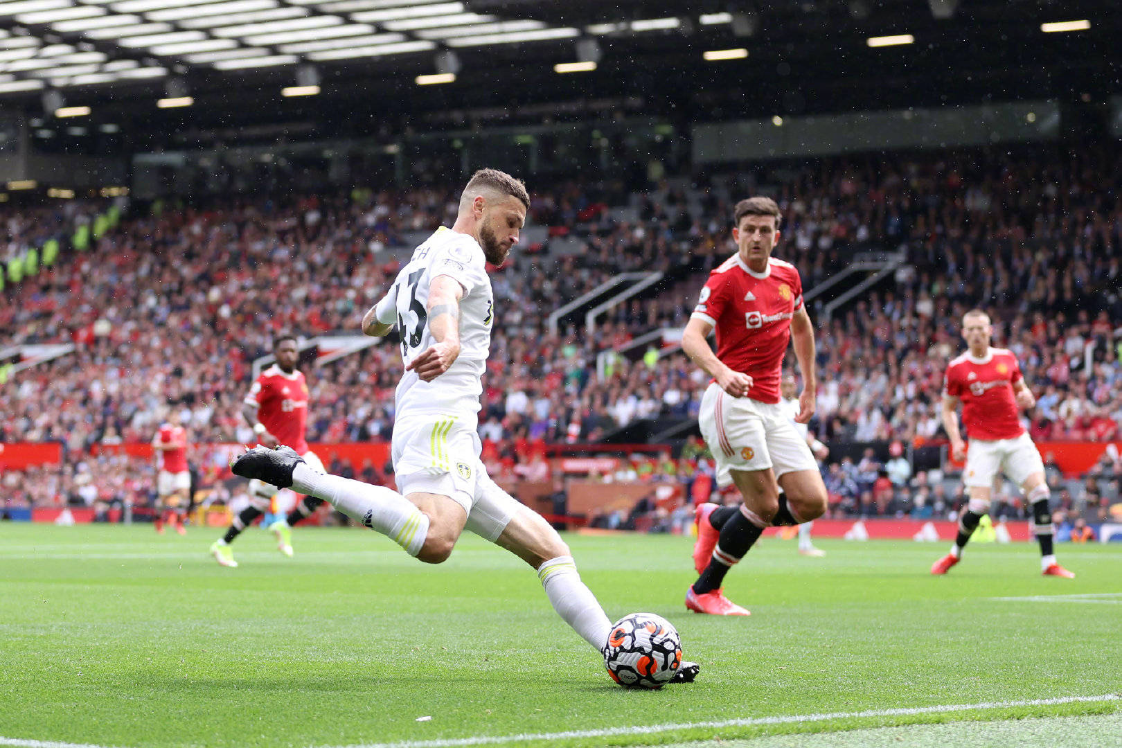 能力和手部 能力和手部